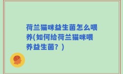 荷兰猫咪益生菌怎么喂养(如何给荷兰猫咪喂养益生菌？)
