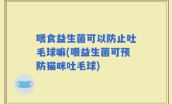 喂食益生菌可以防止吐毛球嘛(喂益生菌可预防猫咪吐毛球)