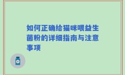 如何正确给猫咪喂益生菌粉的详细指南与注意事项