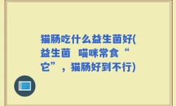 猫肠吃什么益生菌好(益生菌  喵咪常食“它”，猫肠好到不行)