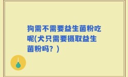狗需不需要益生菌粉吃呢(犬只需要摄取益生菌粉吗？)