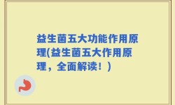 益生菌五大功能作用原理(益生菌五大作用原理，全面解读！)