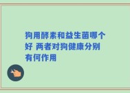 狗用酵素和益生菌哪个好 两者对狗健康分别有何作用