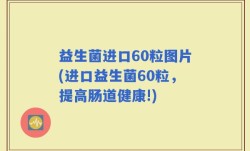 益生菌进口60粒图片(进口益生菌60粒，提高肠道健康!)