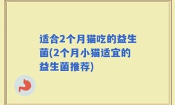 适合2个月猫吃的益生菌(2个月小猫适宜的益生菌推荐)