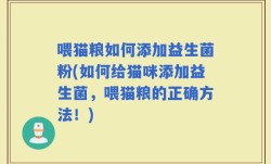 喂猫粮如何添加益生菌粉(如何给猫咪添加益生菌，喂猫粮的正确方法！)