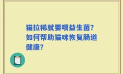 猫拉稀就要喂益生菌？如何帮助猫咪恢复肠道健康？