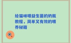 给猫咪喂益生菌的奶瓶教程，简单又有效的喂养秘籍