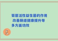 菊苣活性益生菌的作用 改善肠道健康提升等多方面功效