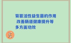 菊苣活性益生菌的作用 改善肠道健康提升等多方面功效