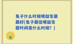 兔子什么时候喂益生菌最好(兔子最佳喂益生菌时间是什么时候？)