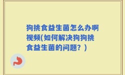 狗挑食益生菌怎么办啊视频(如何解决狗狗挑食益生菌的问题？)