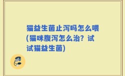 猫益生菌止泻吗怎么喂(猫咪腹泻怎么治？试试猫益生菌)