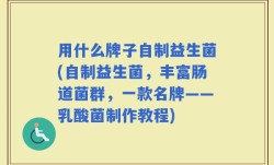 用什么牌子自制益生菌(自制益生菌，丰富肠道菌群，一款名牌——乳酸菌制作教程)