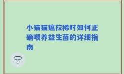 小猫猫瘟拉稀时如何正确喂养益生菌的详细指南