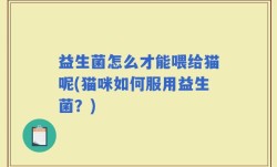 益生菌怎么才能喂给猫呢(猫咪如何服用益生菌？)
