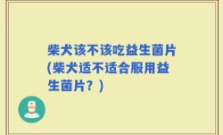 柴犬该不该吃益生菌片(柴犬适不适合服用益生菌片？)