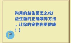 狗用的益生菌怎么吃(益生菌的正确喂养方法，让你的宠物狗更健康！)