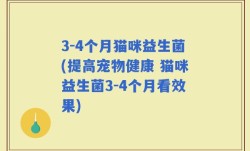 3-4个月猫咪益生菌(提高宠物健康 猫咪益生菌3-4个月看效果)