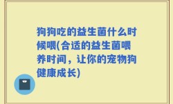 狗狗吃的益生菌什么时候喂(合适的益生菌喂养时间，让你的宠物狗健康成长)