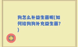 狗怎么补益生菌呢(如何给狗狗补充益生菌？)