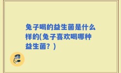 兔子喝的益生菌是什么样的(兔子喜欢喝哪种益生菌？)