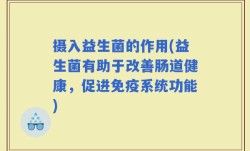 摄入益生菌的作用(益生菌有助于改善肠道健康，促进免疫系统功能)