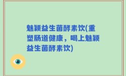 魅颖益生菌酵素饮(重塑肠道健康，喝上魅颖益生菌酵素饮)