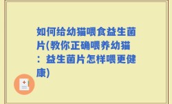 如何给幼猫喂食益生菌片(教你正确喂养幼猫：益生菌片怎样喂更健康)