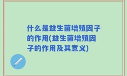 什么是益生菌增殖因子的作用(益生菌增殖因子的作用及其意义)