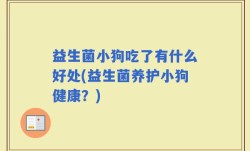 益生菌小狗吃了有什么好处(益生菌养护小狗健康？)