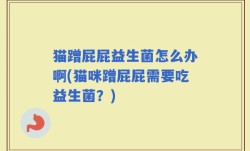 猫蹭屁屁益生菌怎么办啊(猫咪蹭屁屁需要吃益生菌？)