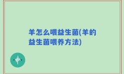 羊怎么喂益生菌(羊的益生菌喂养方法)