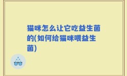猫咪怎么让它吃益生菌的(如何给猫咪喂益生菌)