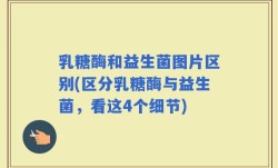乳糖酶和益生菌图片区别(区分乳糖酶与益生菌，看这4个细节)