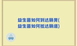 益生菌如何到达肠胃(益生菌如何抵达肠道)