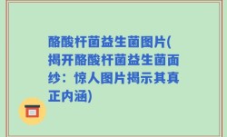 酪酸杆菌益生菌图片(揭开酪酸杆菌益生菌面纱：惊人图片揭示其真正内涵)