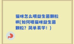 猫咪怎么喂益生菌颗粒啊(如何喂猫咪益生菌颗粒？简单易学！)