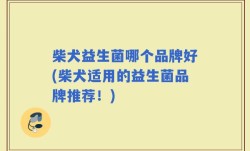 柴犬益生菌哪个品牌好(柴犬适用的益生菌品牌推荐！)