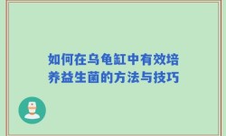 如何在乌龟缸中有效培养益生菌的方法与技巧