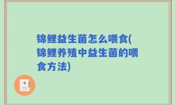 锦鲤益生菌怎么喂食(锦鲤养殖中益生菌的喂食方法)