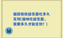 猫促吸收益生菌吃多久见效(猫咪吃益生菌，需要多久才能见效？)