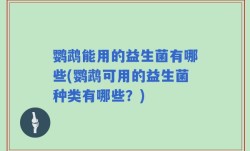 鹦鹉能用的益生菌有哪些(鹦鹉可用的益生菌种类有哪些？)