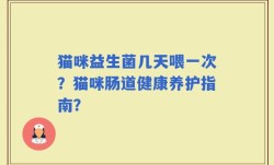 猫咪益生菌几天喂一次？猫咪肠道健康养护指南？