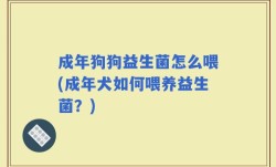 成年狗狗益生菌怎么喂(成年犬如何喂养益生菌？)