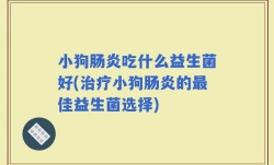 小狗肠炎吃什么益生菌好(治疗小狗肠炎的最佳益生菌选择)