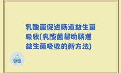 乳酸菌促进肠道益生菌吸收(乳酸菌帮助肠道益生菌吸收的新方法)