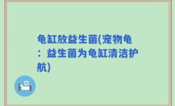 龟缸放益生菌(宠物龟：益生菌为龟缸清洁护航)
