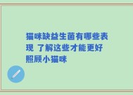 猫咪缺益生菌有哪些表现 了解这些才能更好照顾小猫咪