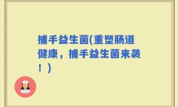 捕手益生菌(重塑肠道健康，捕手益生菌来袭！)